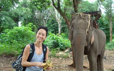 Remember How You Got Here