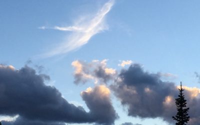 Soaring Fearlessly in Freedom: Colorado, Part 1